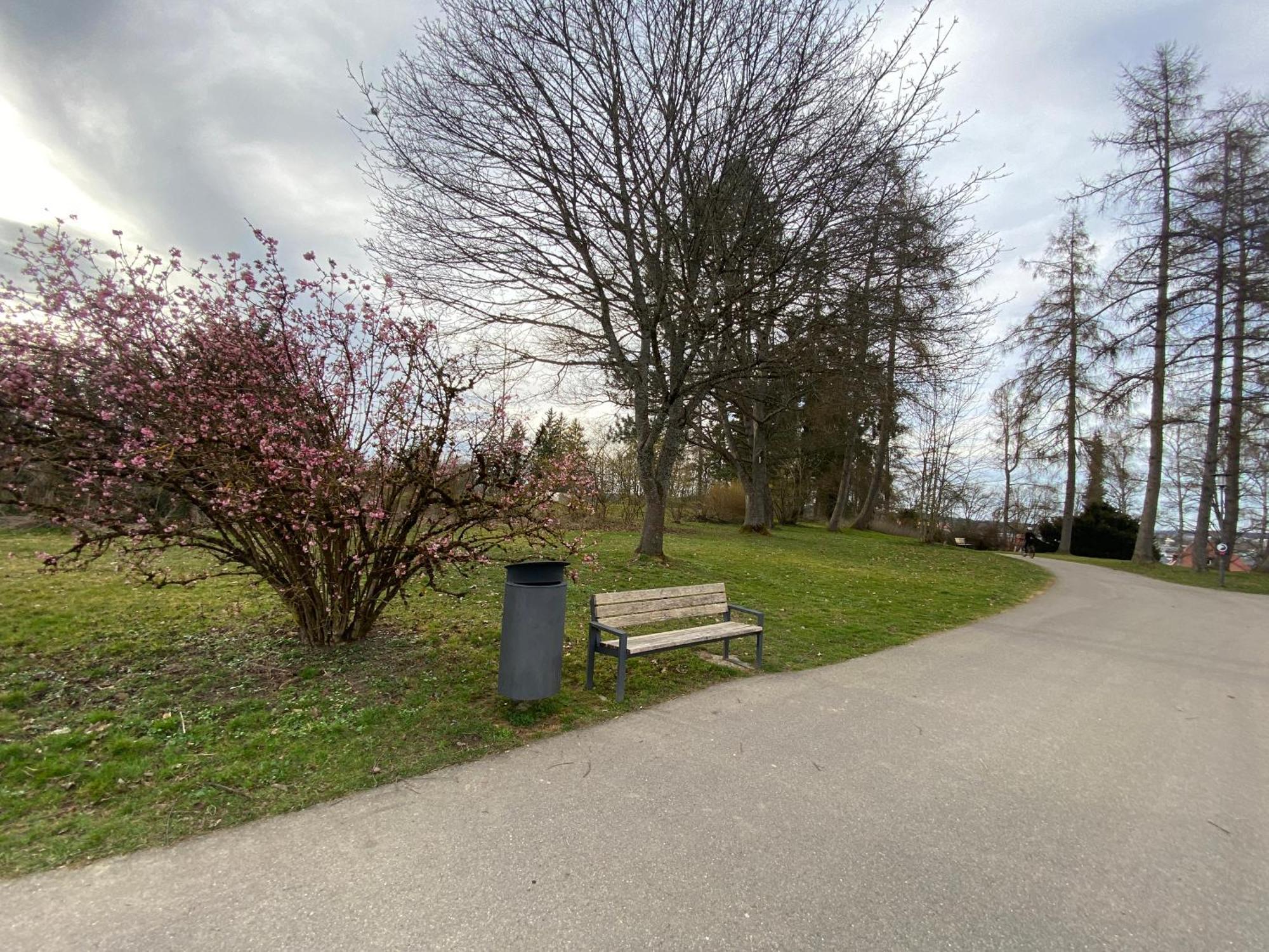 Schwarzwaelder 3 Zimmer Wohnung In Villingen Mit 2 Schlafzimmer 외부 사진